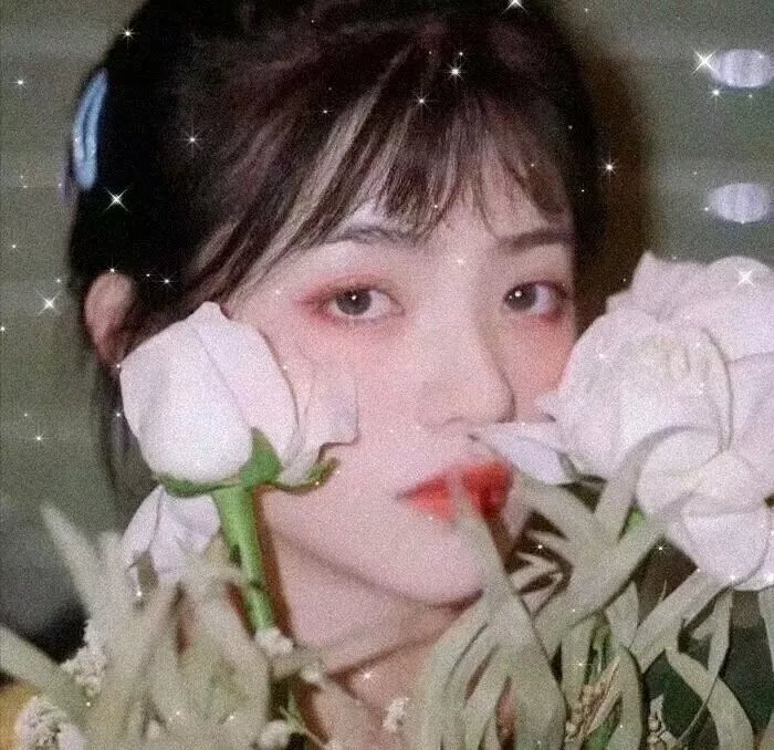 发现湾粤语